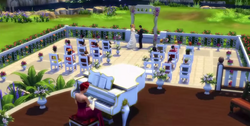 Weddings.png