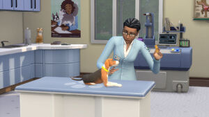 TS4 Cats and Dogs 11