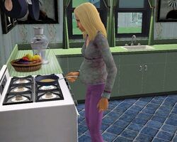 sims 2 pregnancy