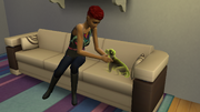 Sim with ghost dog