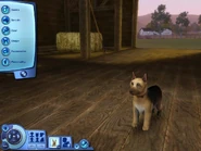 The Sims 3: Pets Create-A-Pet Dog Menu