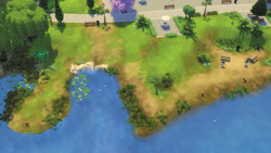 Willow Creek Commercial District - Shoreline