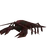 Crawfish