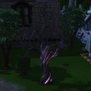 A plasma fruit tree at night
