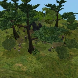 The Petrified Forest