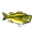 Морской окунь