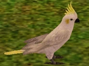 Cockatoo.png (65 KB) Cockatoo
