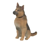 A dog in The Sims 3: Pets.