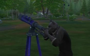 A werewolf using a telescope.