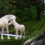 A white Unicorn foal being groomed by its parent