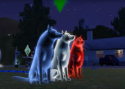 Compare with dogs.png (1.41 MB) From left to right: Dog who died with more than 10,000 Lifetime Happiness points, dog who died of drowning, dog who died with less than 10,000 Lifetime Happiness points.