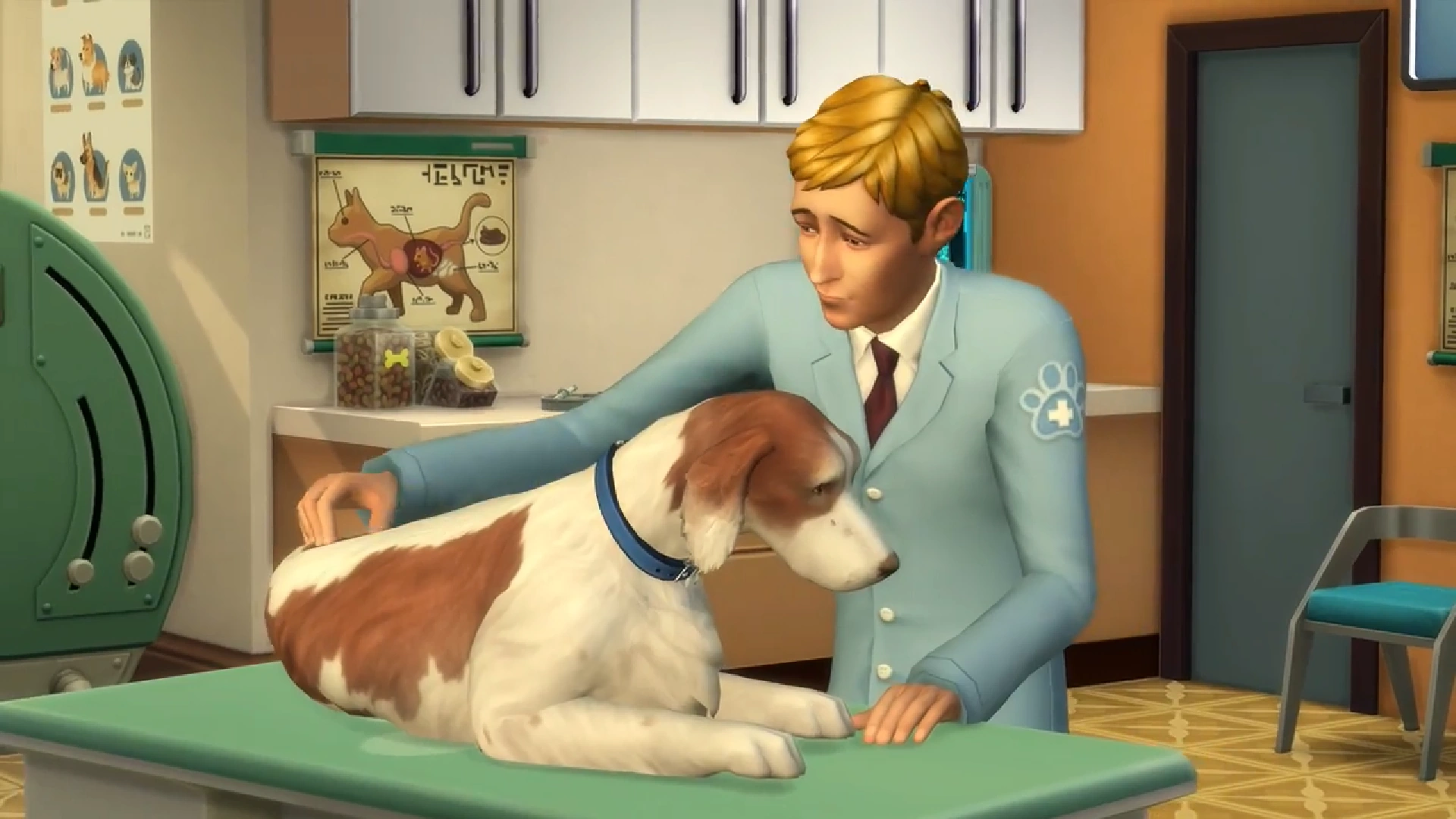 sims 4 vet treatment