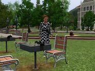 A sim going to practice chess in The Sims 3.