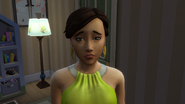 A Sad Sim