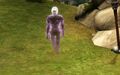 A Sim using Ghost that died from Hunger texture in The Sims Medieval Pirates and Nobles, after drinking Ethereal Potion