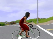 Bella on her bike at sunset