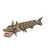 Dragon Fish