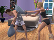 SIMS2UpcSCRNpillowrev1