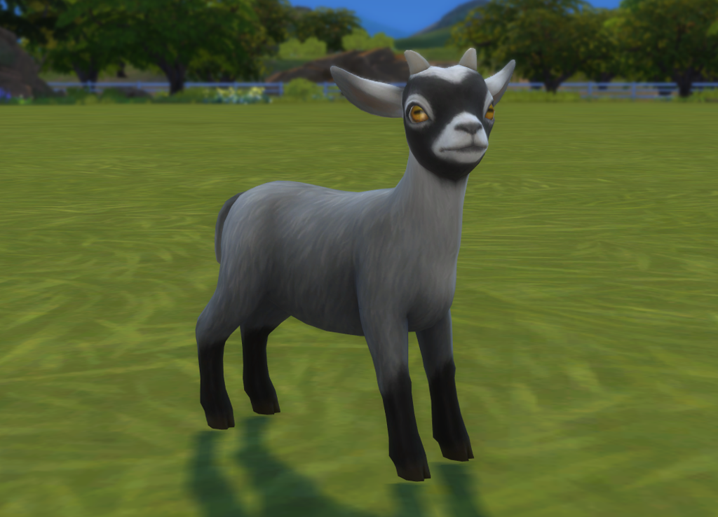 Goat, The Sims Wiki