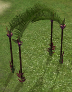 StrangeRitualsArch