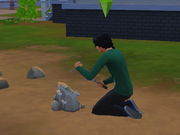 Sims 4 digging