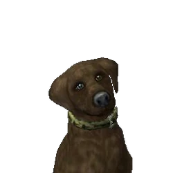 Georgie Clayton | The Sims Wiki | Fandom