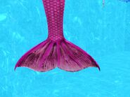 A female mermaid's tail.