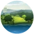 Willow Creek Icoon
