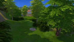 Plumbird Fossil Crystal Valley