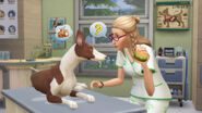 TS4 Cats and Dogs 15