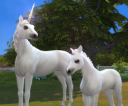 An adult unicorn and it's unicorn foal