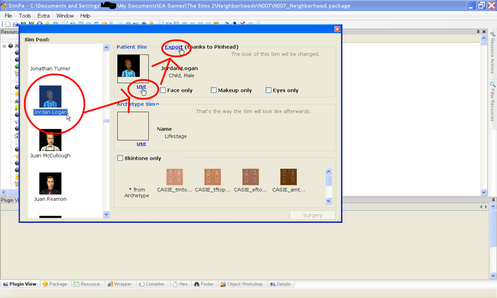 Ts2 extracting sims tutorial 3.png