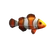 Clownfish