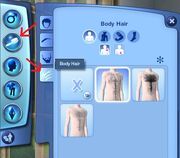 Body-Hair.jpg