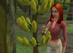 Les Sims Histoires De Naufragés Sur PC – Version Française Avec Notice, Bon état