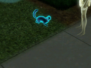 Jellybeancat.png (334 KB) A Cat that died from a jelly bean death, created by a mod.