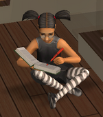 TS2 Diary