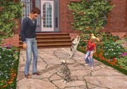 The Sims 2 Pets Screenshot 14