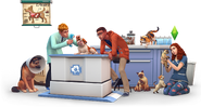 TS4Cats and Dogs Render 11