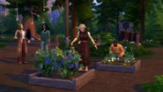The Sims 4: Werewolves potted gardening.