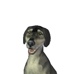 Grimalkin | The Sims Wiki | Fandom