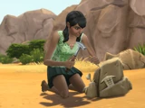 Collecting (The Sims 4)