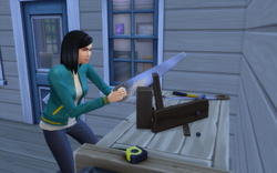 TS4 Woodworking