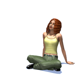 TS2 Menu Sim 5