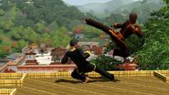 Martial arts TS3WA