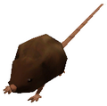 Sims 3 squatter lot challenge rat