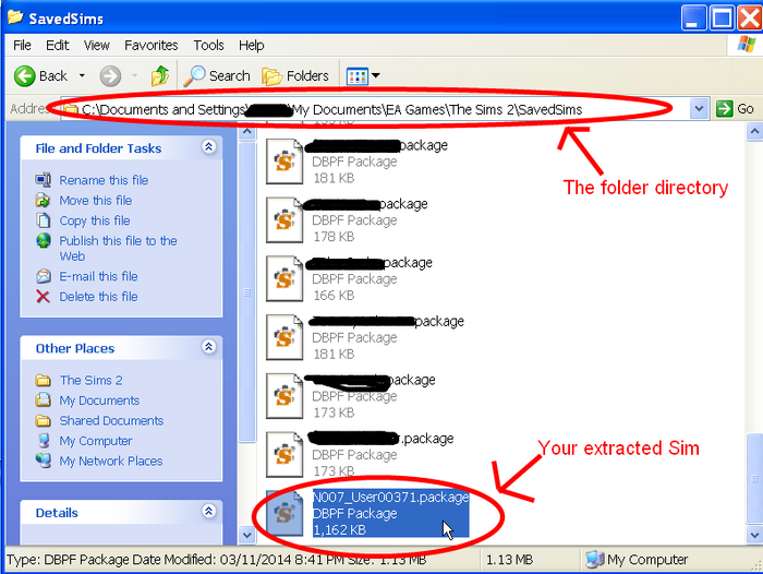 Ts2 extracting sims tutorial 5.png