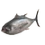 Tuna