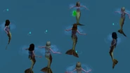 A pod of mermaids