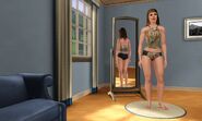 One set of female swimwear in The Sims 3: Ambitions.